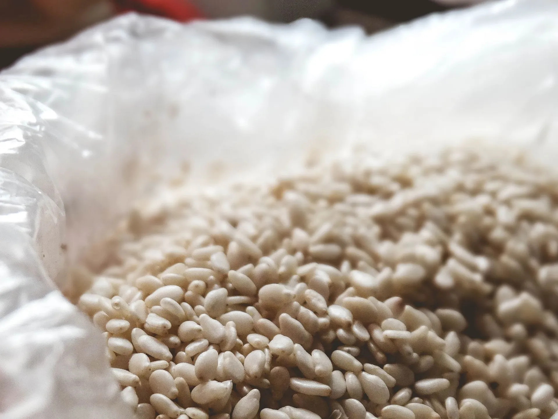 Sesame Seeds