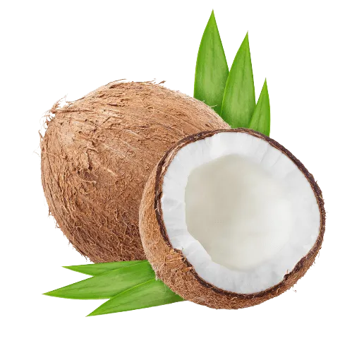 Sweet Coconut Flakes