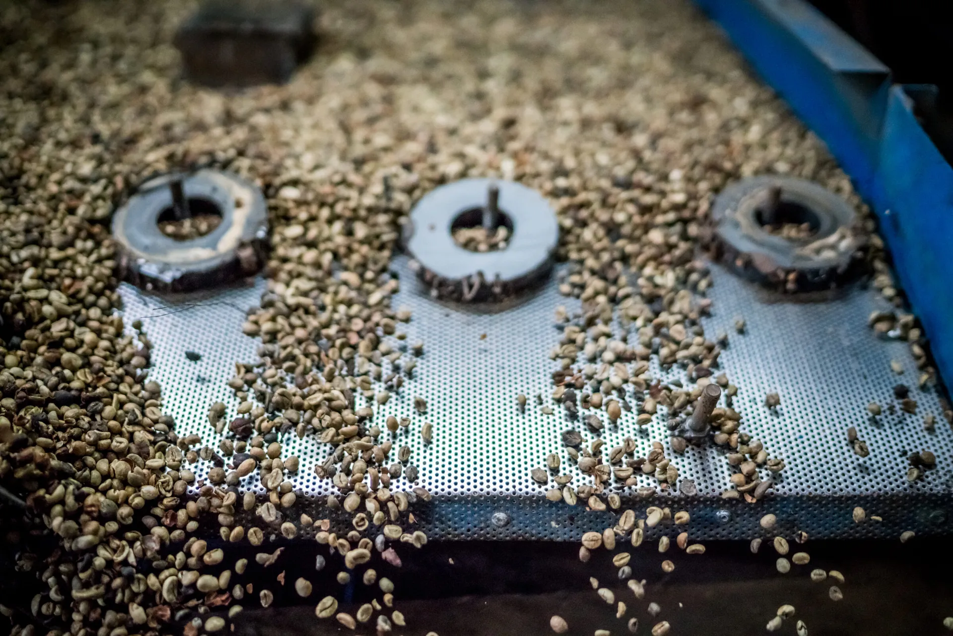 Robusta Beans