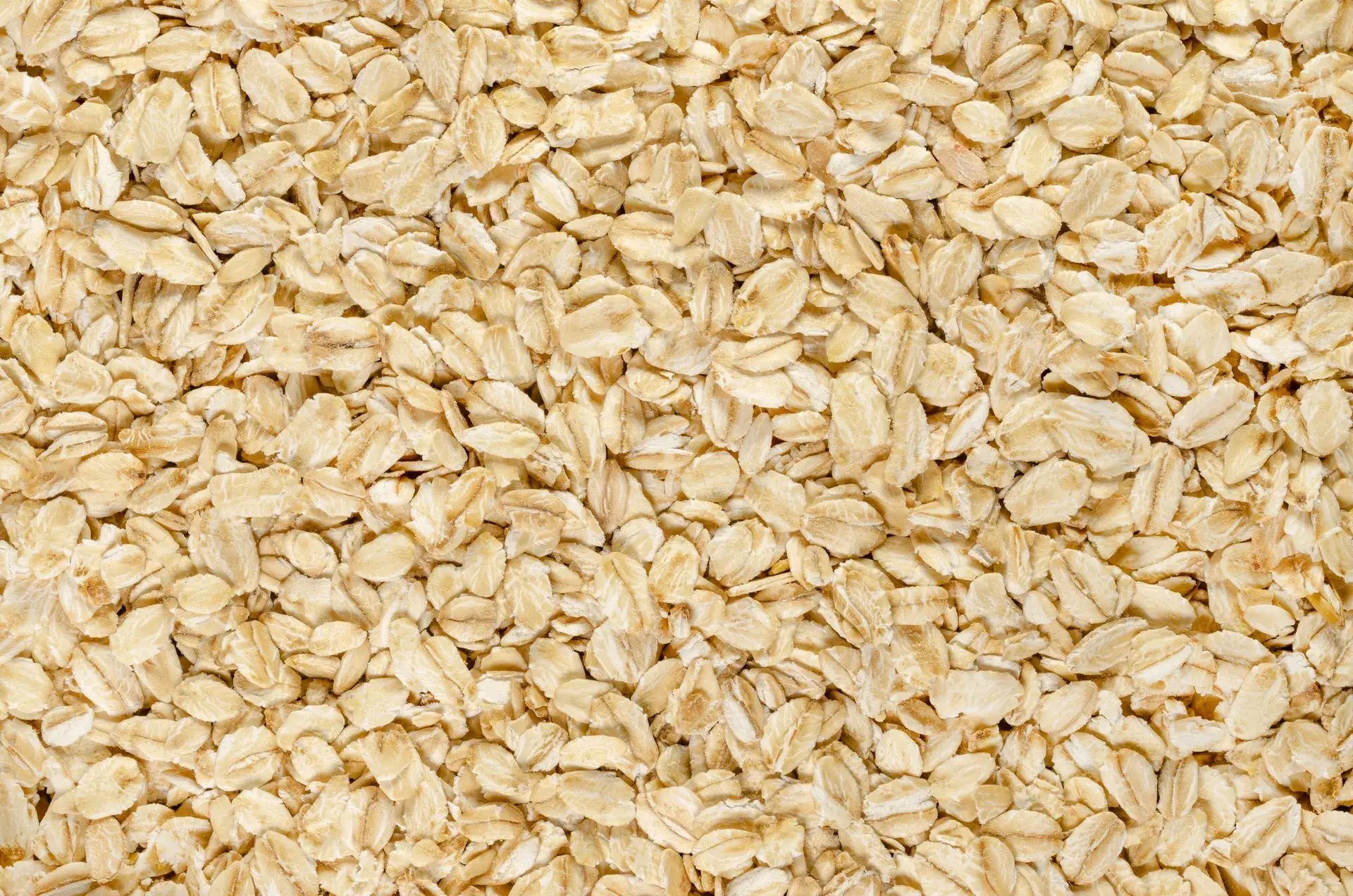 Organic & Gluten Free Thick Rolled Oat (Max 10ppm)