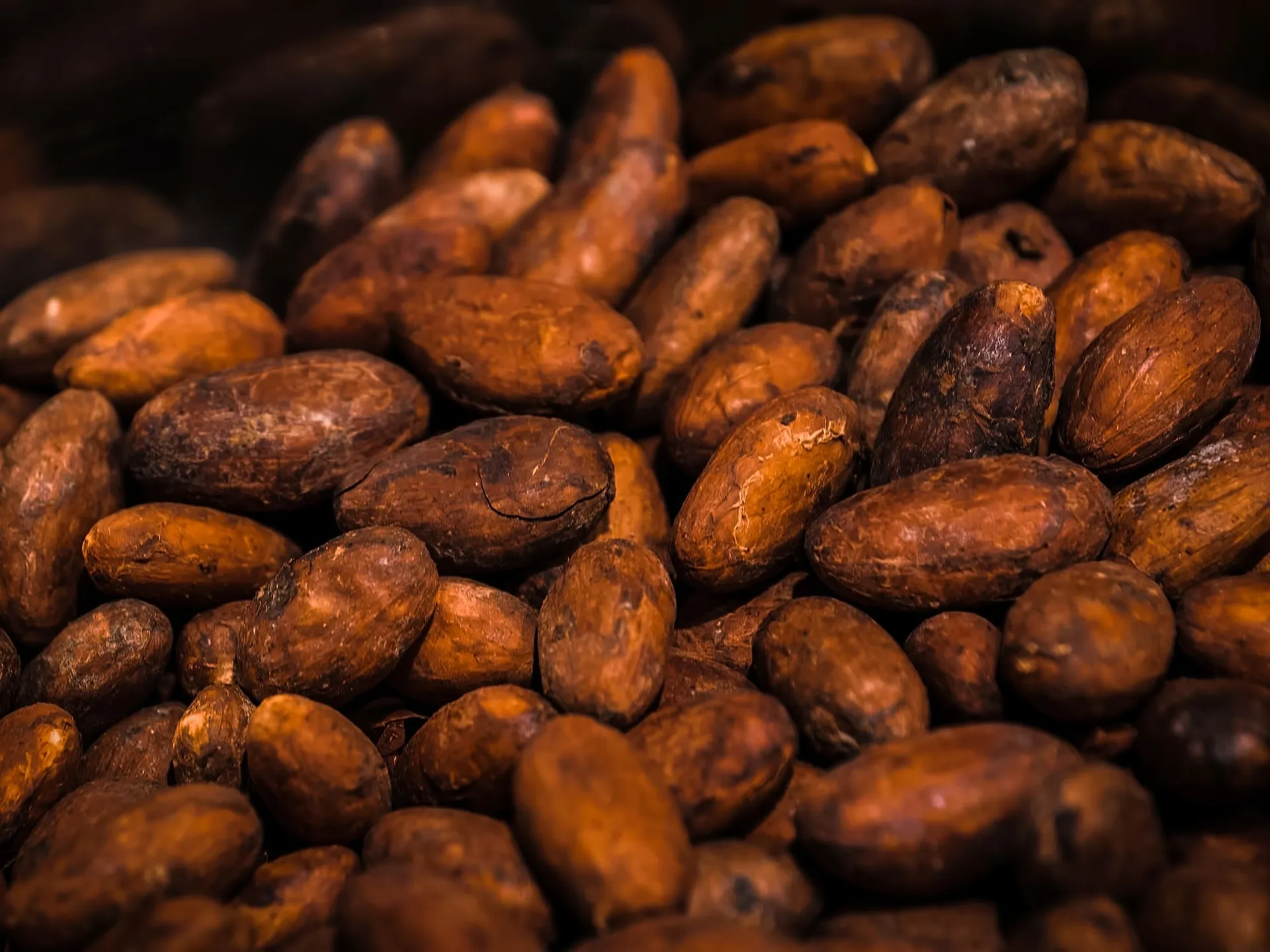 Cocoa Butter