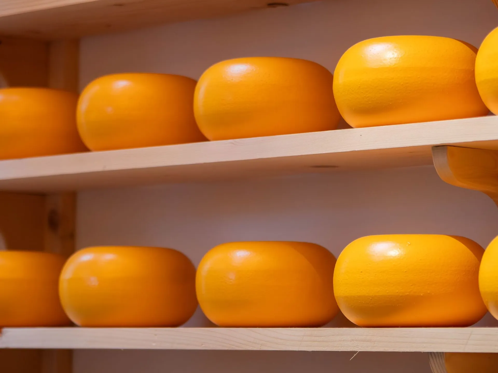 Gouda Cheese
