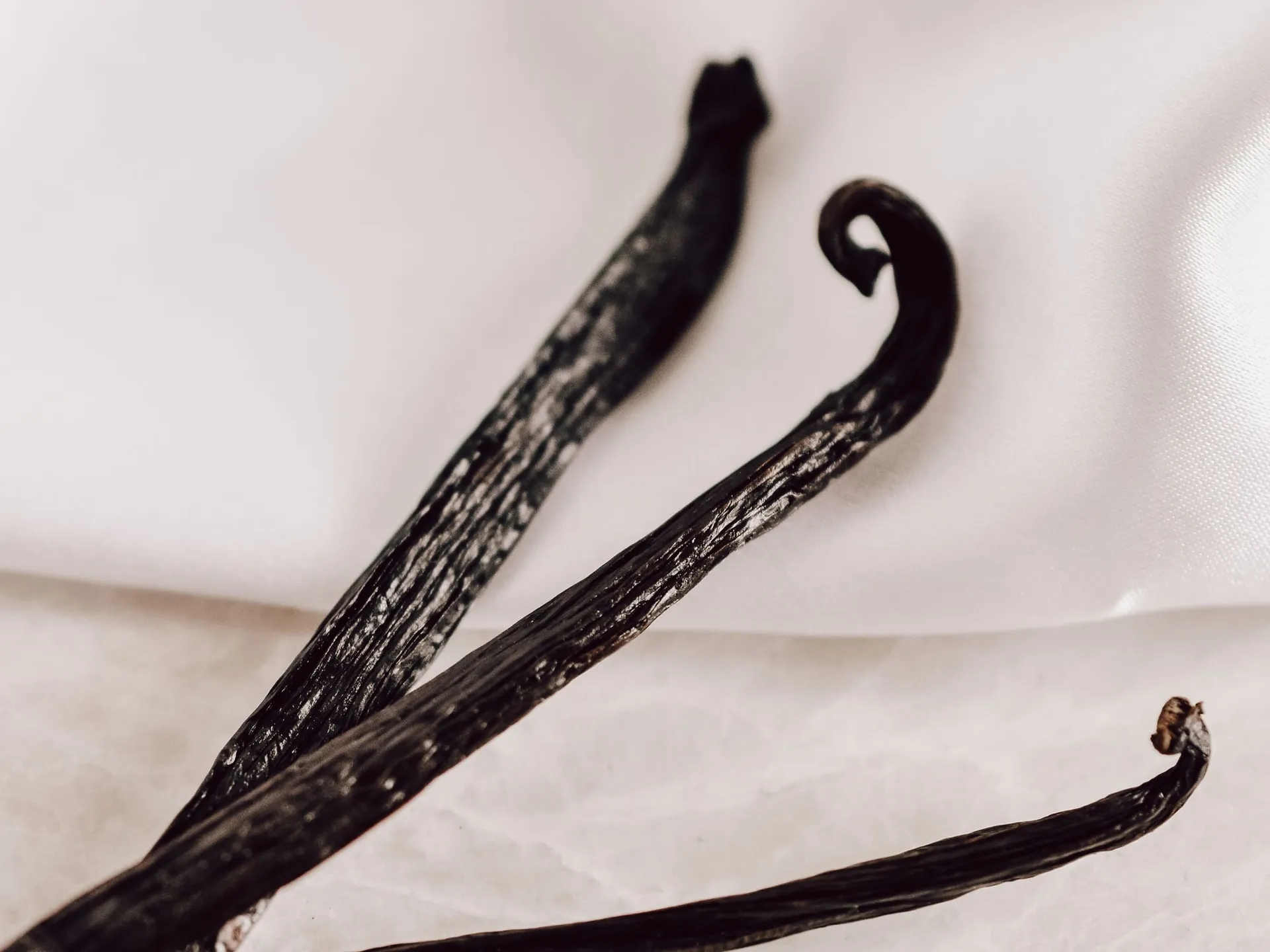 Vanilla Bean