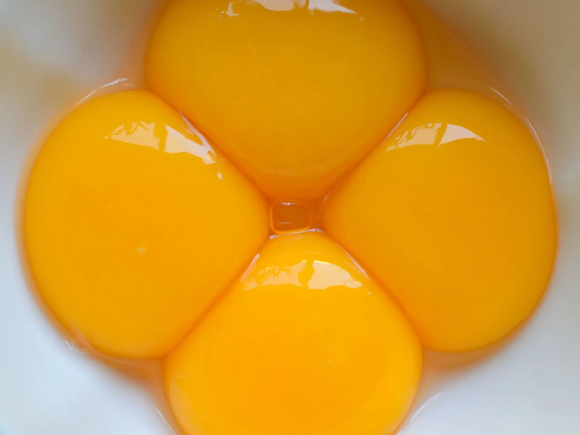 Frozen Frozen Plain Yolk