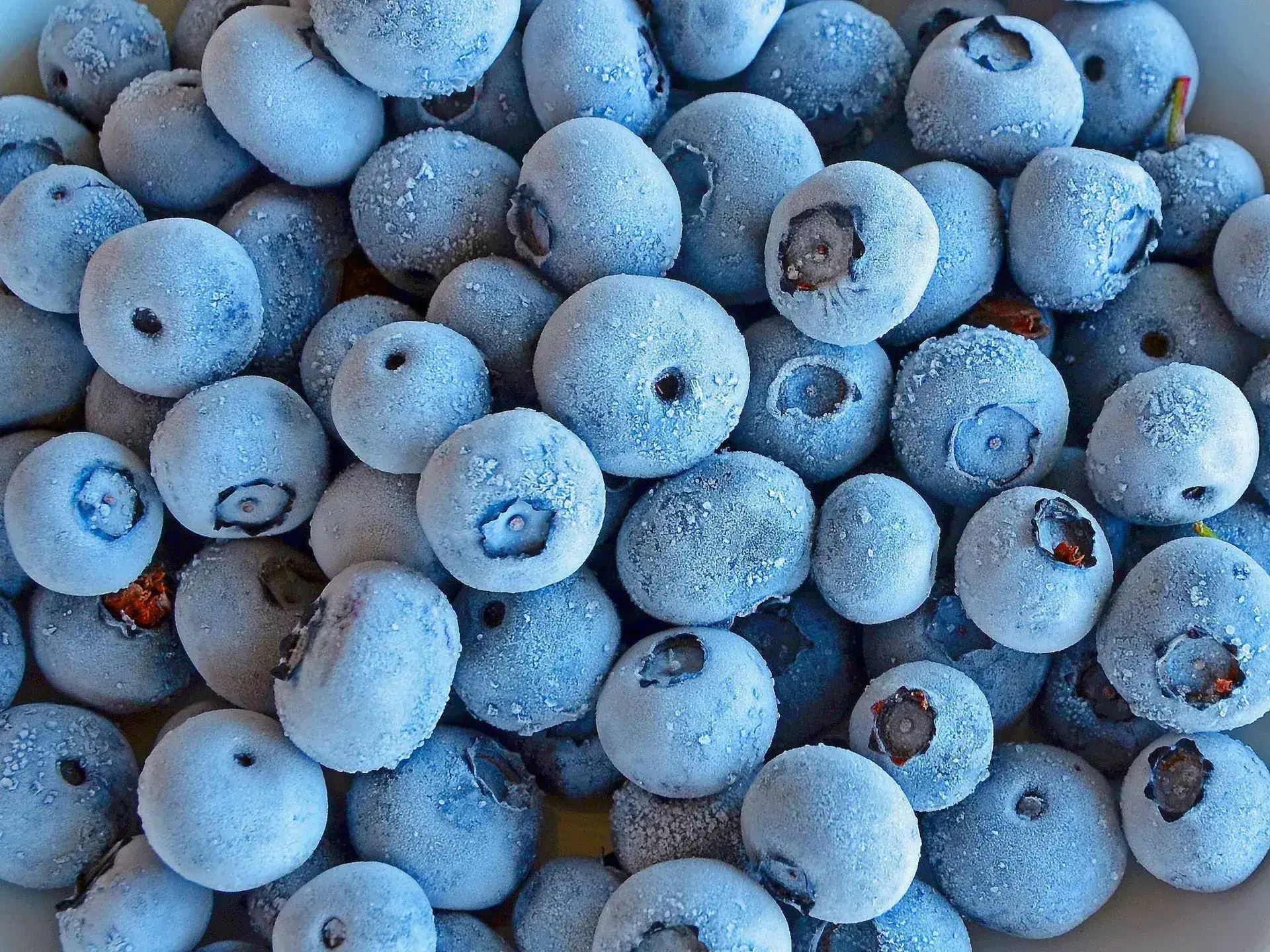 IQF Blueberries