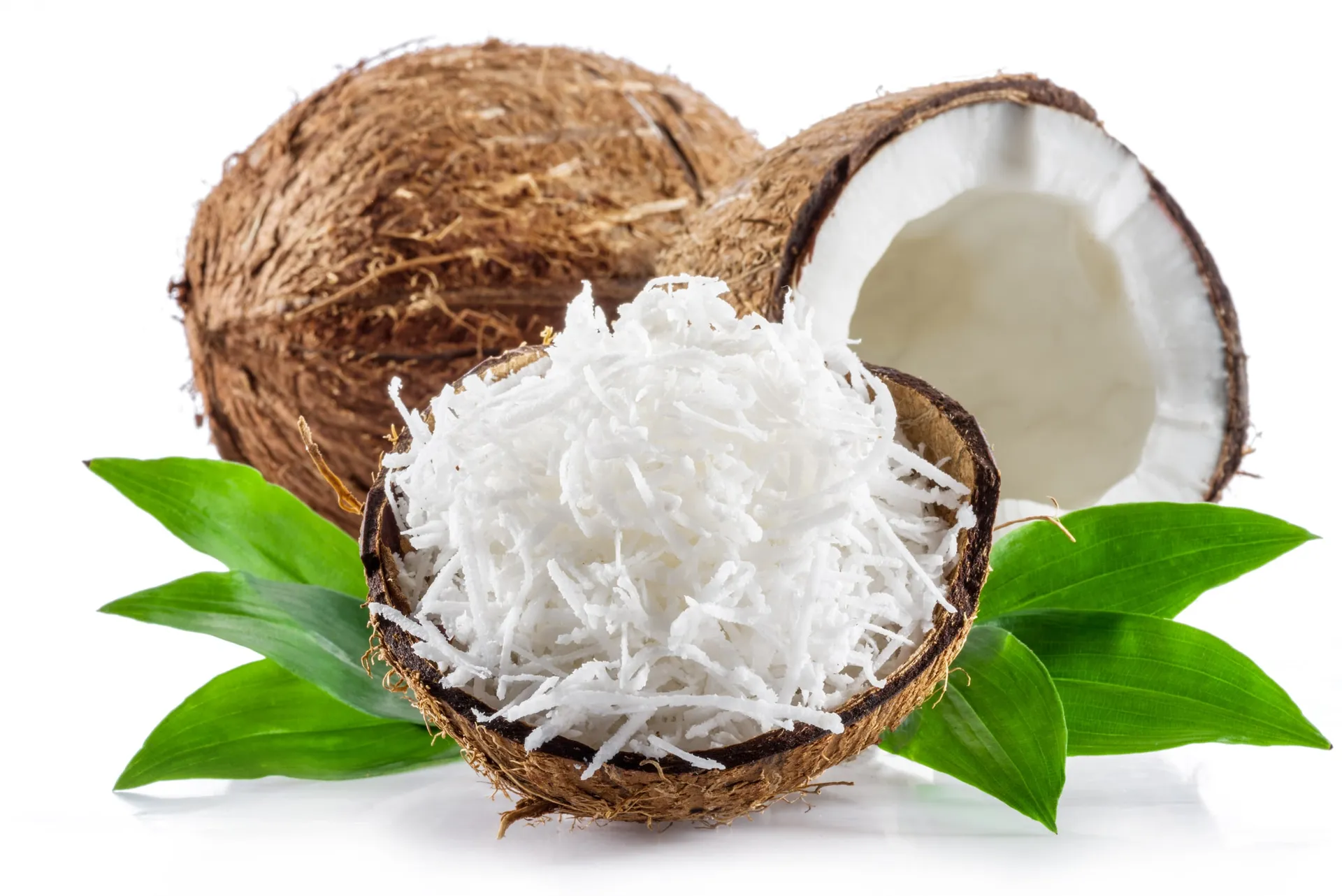 Organic Desiccated Coconut Fine Shred