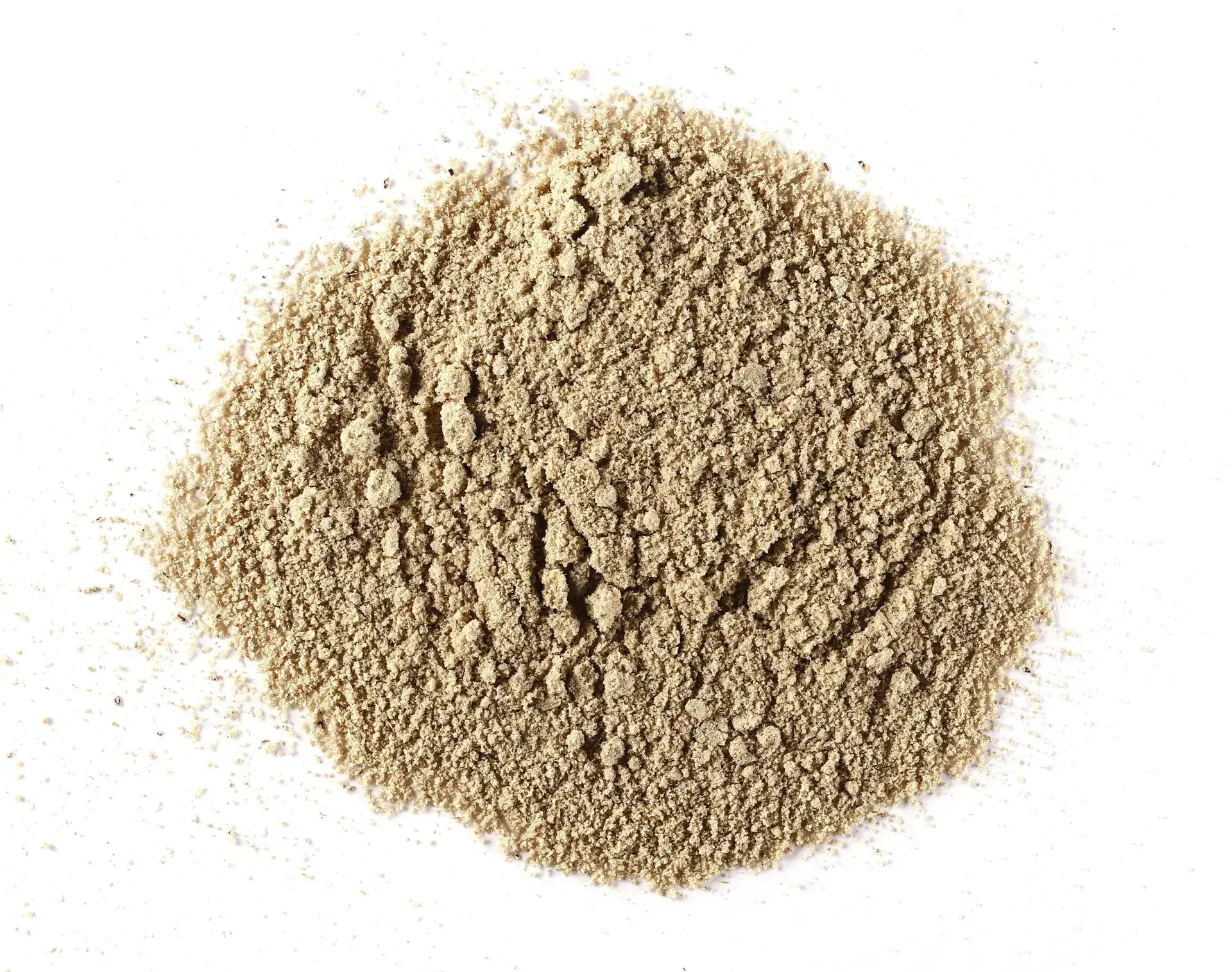 Sunflower Protein