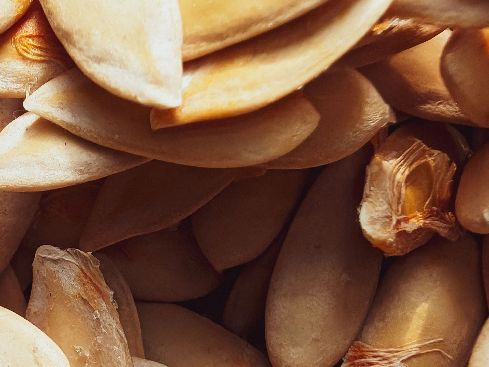 Pumpkin Seeds