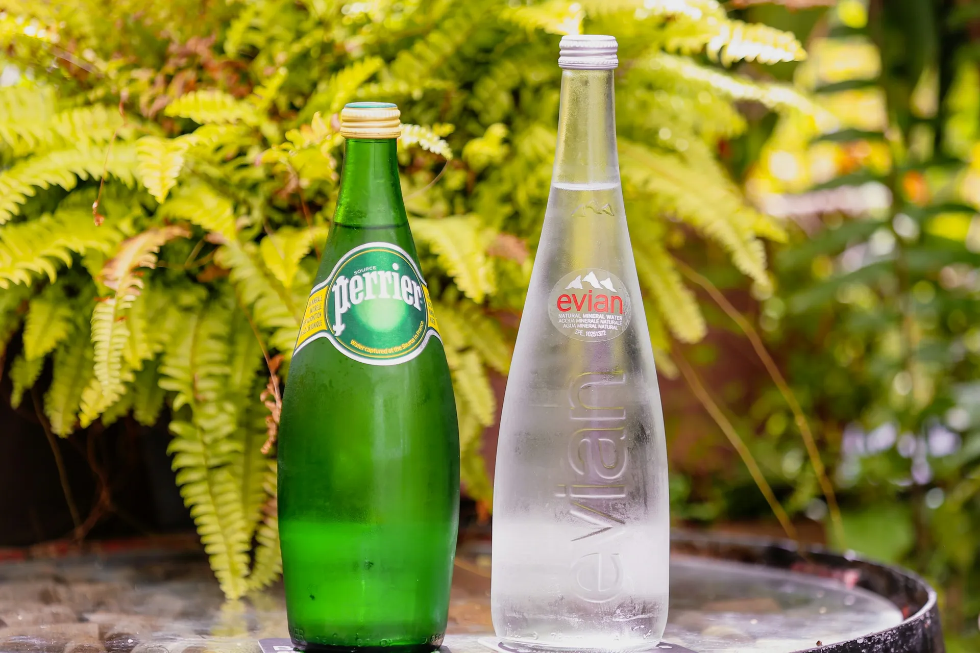 Evian Natural Mineral Water